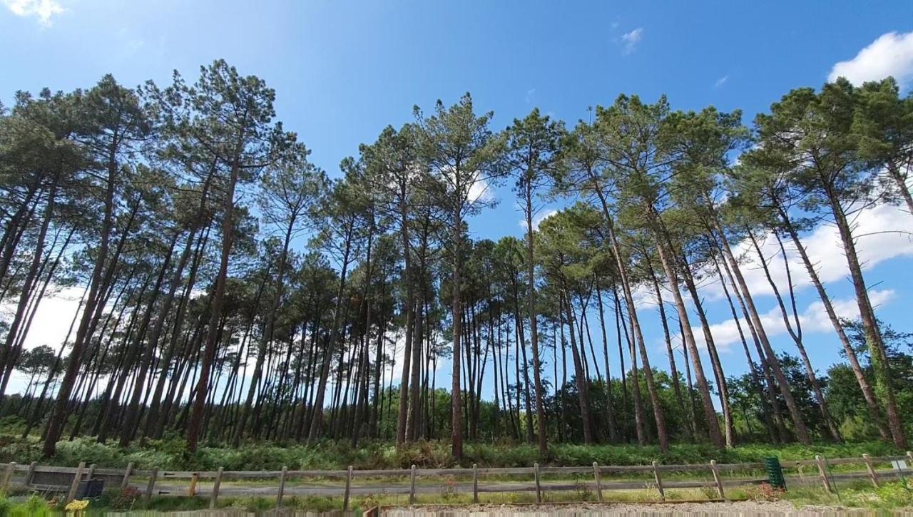 Maison Gemme A Landes Леон Экстерьер фото